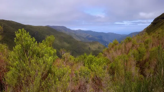 Madeira: Rabaçal Valleys 3-Hour Guided Walk