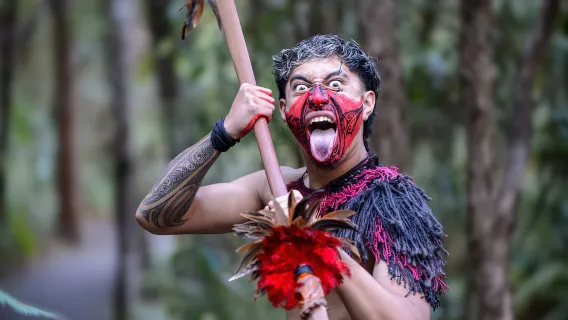 Expérience culturelle et dîner Hāngī inclus. Admission journée