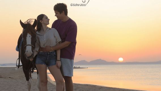 Sharm El Shiekh: Tur Berkuda di Pantai dan Kota Gurun