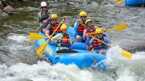 All Inclusive : Ubud Gorilla Face ATV and Ayung Rafting Trip with Meal