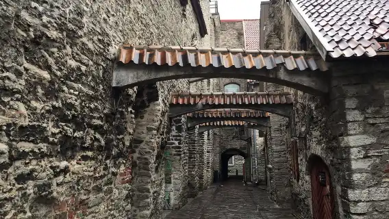 From Helsinki: Tallinn with Round-Trip Ferry & Guided Tour