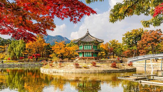 景福宮+北村韓屋村+首爾塔+明洞一日遊【包車/中文】