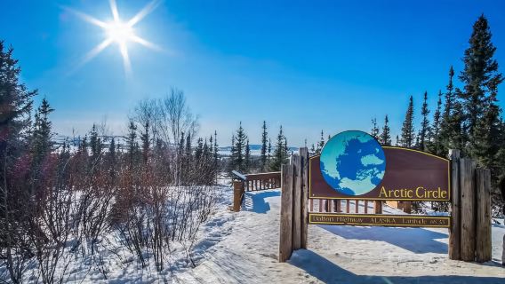 A 1-day tour to the Arctic Circle marker in Fairbanks, Alaska, USA [by car]