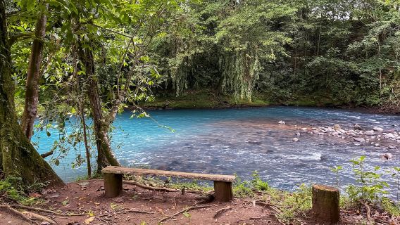 Rio Celeste: Piscina naturale nella foresta