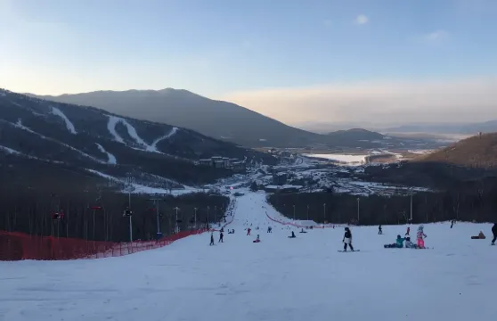 【哈爾濱點玩？老友你講啦！】「唔使查攻略啦，我就係你喺哈爾濱嘅『流動老友』！專屬車+活地圖嚮導」