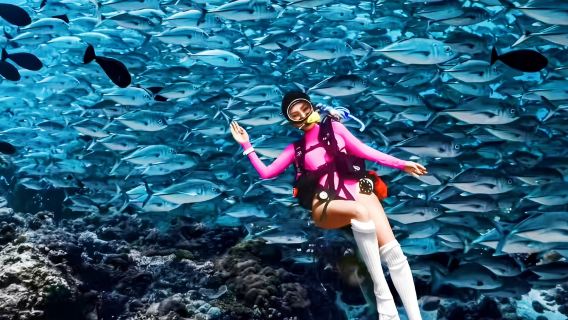 パタヤ エンドレスダイビング ワンデーツアー【シュノーケリング/スキューバダイビング+送迎付き+ブッフェランチ】