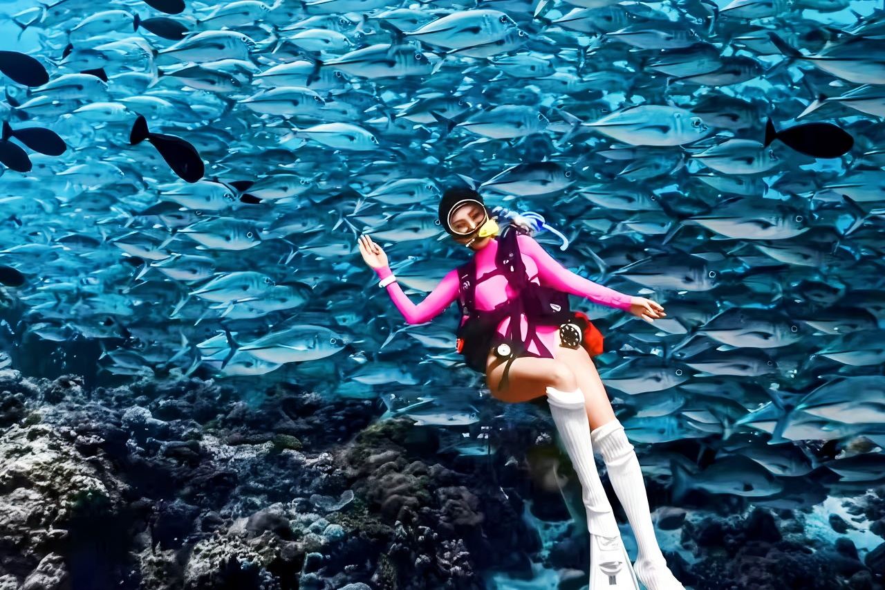 Pattaya Endless Diving 1-Day Tour [Snorkeling/Scuba Diving + Round-Trip Transfer + Buffet Lunch]