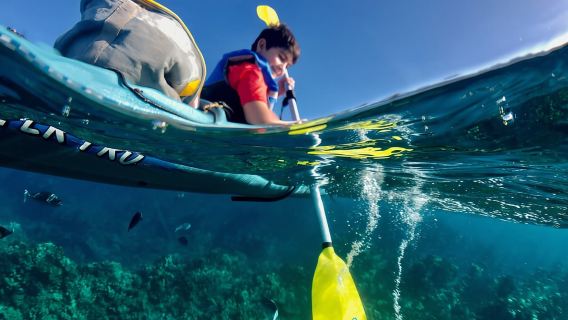 Sud de Maui : excursion premium en kayak et plongée avec tuba à Turtle Town