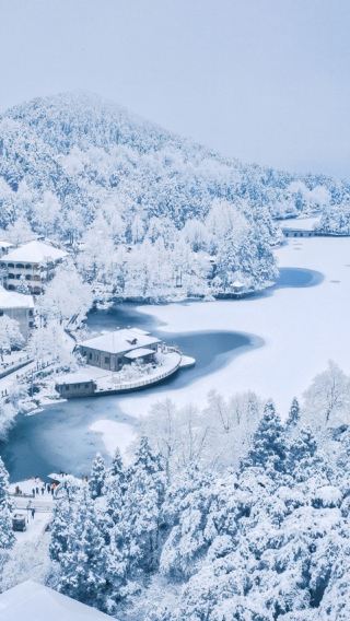 Nanchang Must-Go! Group Day Tour to Conquer Lushan: Peaks, Waterfalls & Cloud-Sea Magic