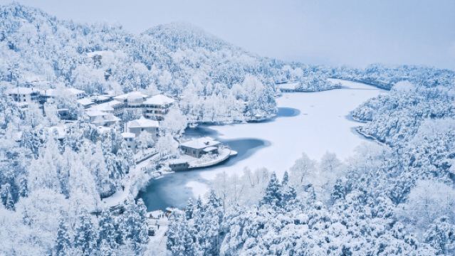 Nanchang Must-Go! Group Day Tour to Conquer Lushan: Peaks, Waterfalls & Cloud-Sea Magic