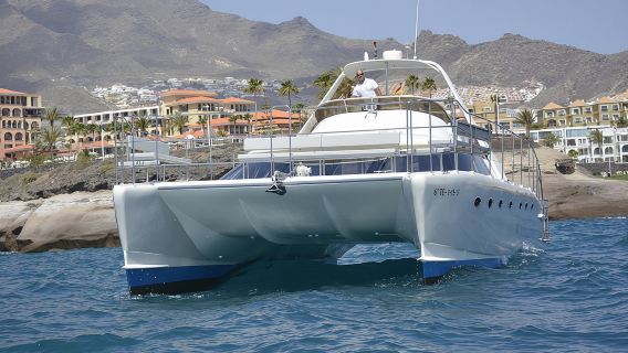 Whale Watching Catamaran Cruise with Transfer, Buffet by MC