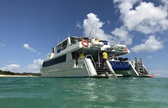 莫頓島一日遊（含潛水服 午餐）