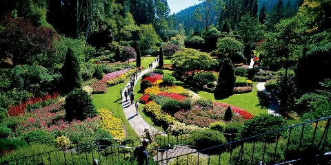 從溫哥華出發:布查德花園、維多利亞及海灣群島郵輪之旅