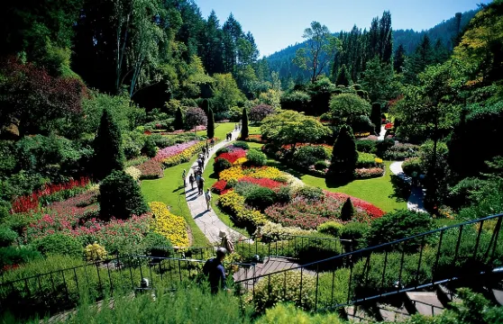 從溫哥華乘渡輪遊覽維多利亞和布查特花園