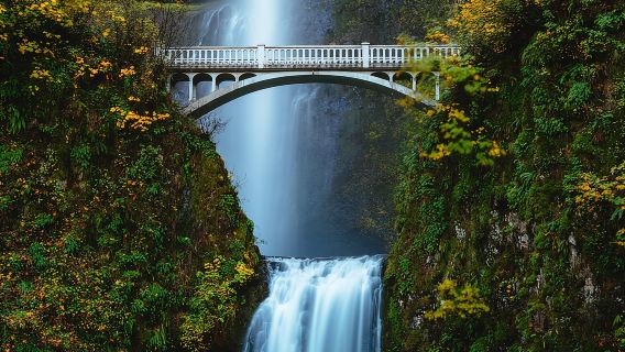 Columbia River Gorge Waterfalls Tour from Portland, OR