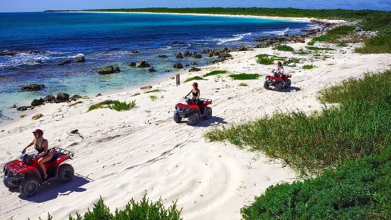 CozumelTours