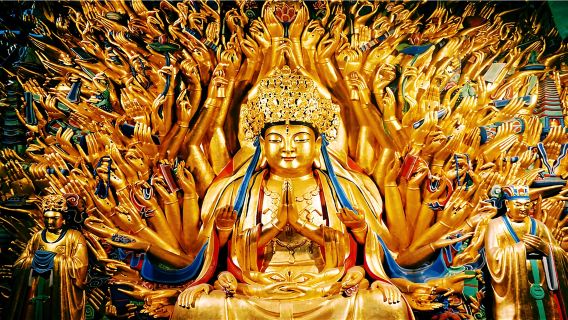 ChongqingExperiences