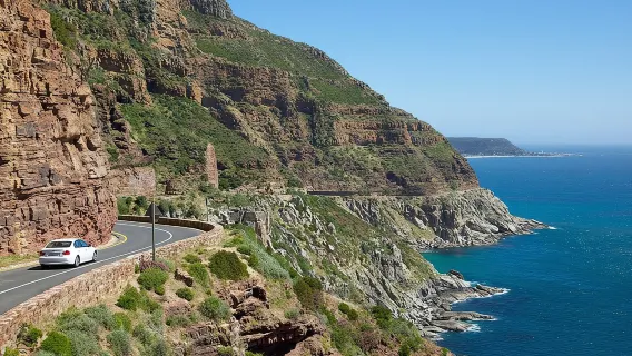 Cape Peninsula Full Day Private Tour