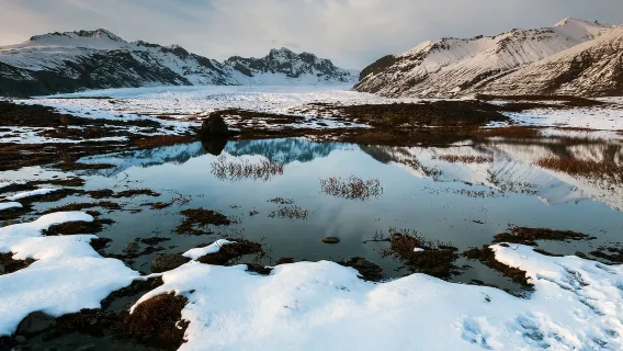 Iceland Hofn, Vatnajökull National Park, Glacier Lagoon, and Svartifoss Waterfall one-day tour