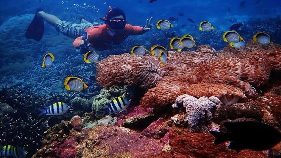 Labuan BajoTours