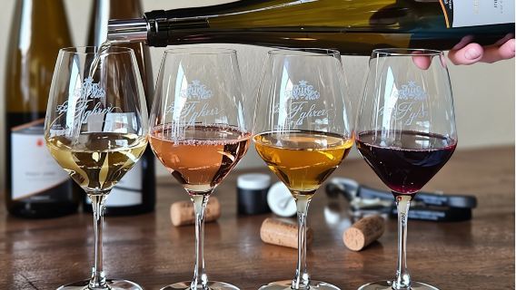 Domaine Fahrer et Fils guided tour with wine tasting