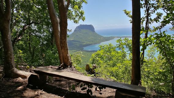 MauritiusTours