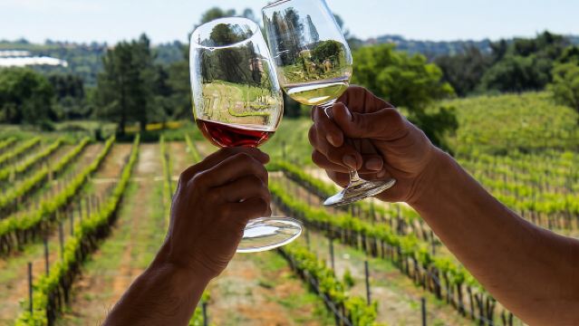 Degustazione di vini ad Albufeira: tour delle cantine boutique e della storica Silves