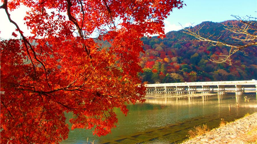 京阪電車| 京都觀光通票 24 小時票