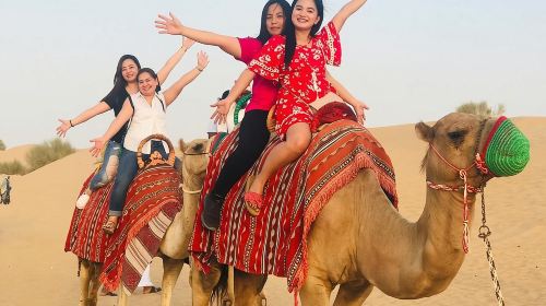 Sunset Safari,Camel ride,live shows & BBQ Dinner No Hidden Charge Day Tours 4