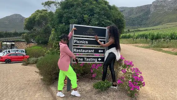 Kirstenbosch Botanical Gardens and Constantia Wine Tasting Tour.