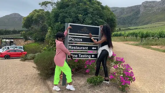 Kirstenbosch Botanical Gardens and Constantia Wine Tasting Tour.