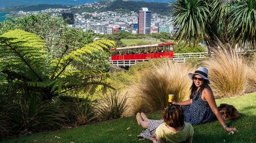 Wellington City to Coast Highlights Tour (5 Hours with Lunch) Day Tours