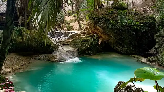 Philippines Cebu Oslob whale shark shared one-day tour | Sumilon Island + waterfall + Round-trip transfer