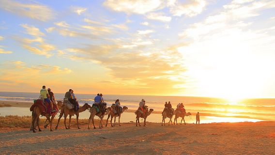 Beach UTV and Camel Ride Combo in Cabo