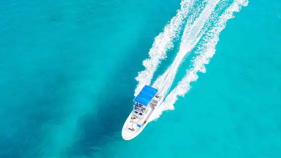 沖繩 慶良間出海半日／一日遊【尋找海龜丨自由浮潛丨中文導遊】