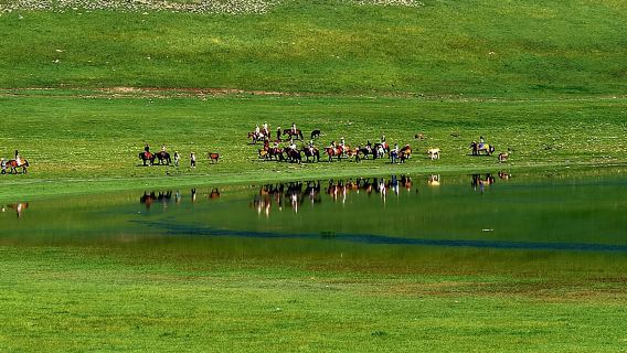  One-Day Private Chartered Car Tour from Hohhot to Huitengxile Grassland