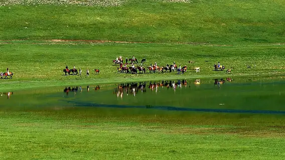 ออกเดินทางจากฮูฮอต: ทัวร์วันด้วยรถส่วนตัวไปอุทยานธรณีวิทยาภูเขาไฟอุลันฮาร์ดาและหุยเถิงซีเล่อ