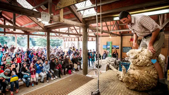 New Zealand Queenstown TSS Earnslaw 1-day tour [Lake cruise | Century-old steamboat]