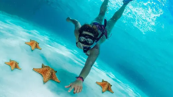 Tulum: avventura di snorkeling a Cozumel Cielo da Cancun