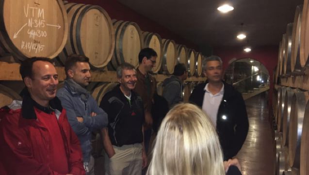 Mallorcas Emblematic Wineries Small Group Tour, two wineries