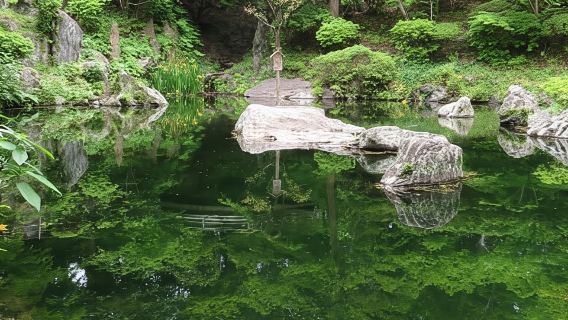 Wakayama : visite à pied de la ville de Wakayama