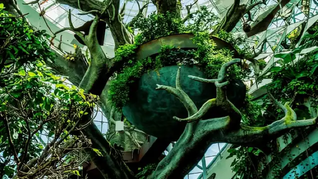 綠色星球－杜拜獨特的室內雨林