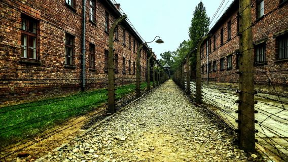 Krakau: Geführte Tour durch Auschwitz-Birkenau – Transport im Minivan