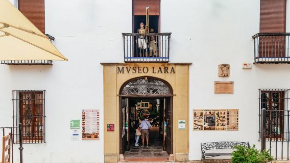 From Costa del Sol: Ronda and Setenil de las Bodegas