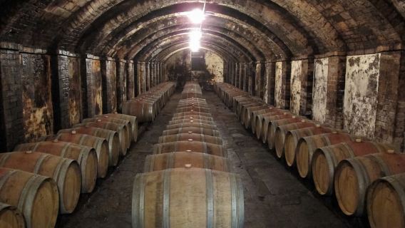 Từ Florence: Tour nếm rượu vang riêng tại Chianti