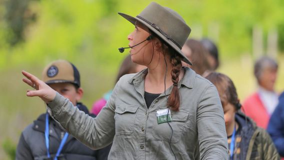 Great Ocean Road: passeggiata guidata tra la fauna selvatica che sostiene la natura
