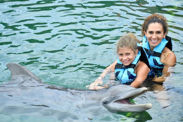 Puerto Aventuras: Dolphin Swim, Sea Lions, Manatees, & Lunch