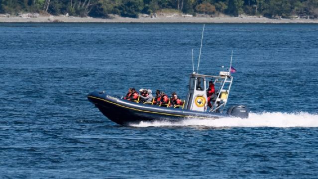 Campbell River: Tur Menonton Paus dengan Zodiac 6 Jam Termasuk Makan Siang