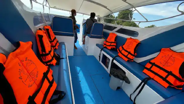 Krabi: Speedboat Transfer between Ao Nang and Phi Phi