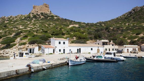Colonia Sant Jordi: Paseo en barco clásico y exprés a Cabrera
